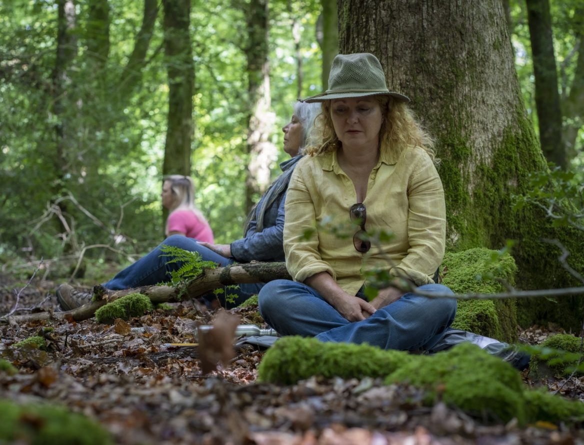 forest-bathing-at-hill-farm-tintern